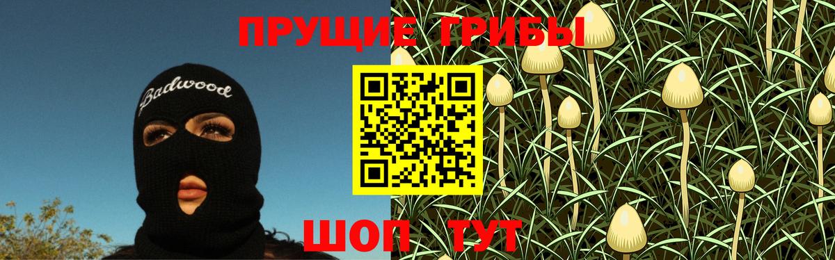 Псилоцибиновые грибы мицелий Ишимбай
